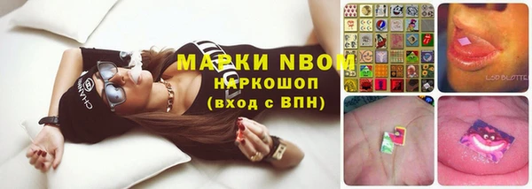 эйфоретик Баксан