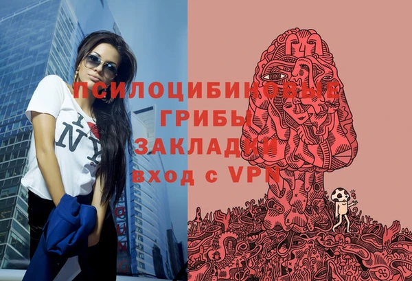 эйфоретик Баксан